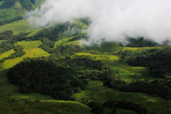 OOTY – Misty Mountains Honeymoon
