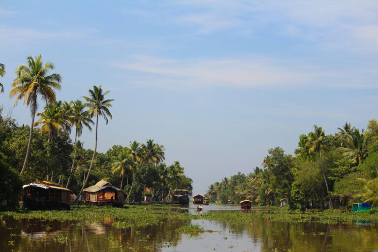Kerala Backwaters — A Complete Travel Guide
