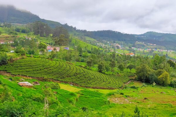 KODAIKANAL – Solo Wanderer Pack