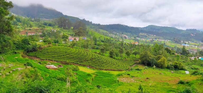 Ooty Travel Guide — The Queen of Hill Stations